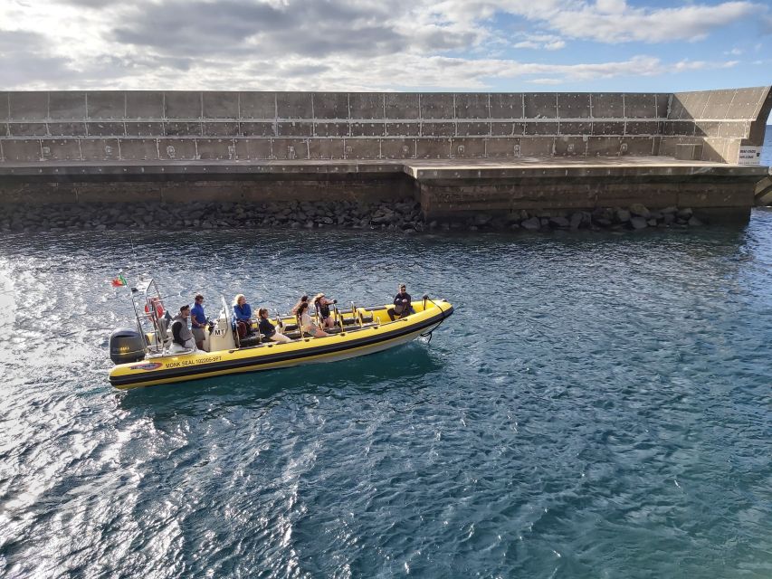 Madeira: Ponta de São Lourenço Lighthouse Boat Tour - Price and time: is $20 worth a short ride?