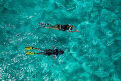 Ponta de São Lourenço Snorkeling Boat Trip
