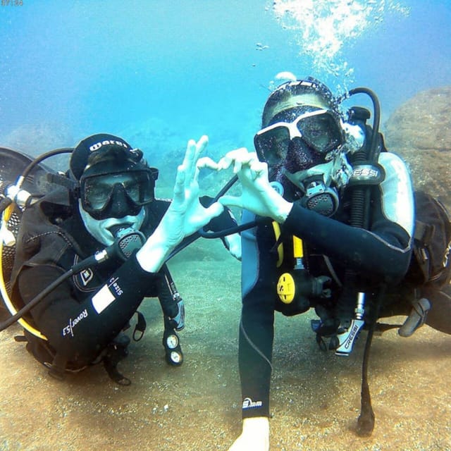 Madeira, Ponta São Lourenço: Scuba Diving for Beginners - Marine Life You Can Expect Around Madeira’s Reef