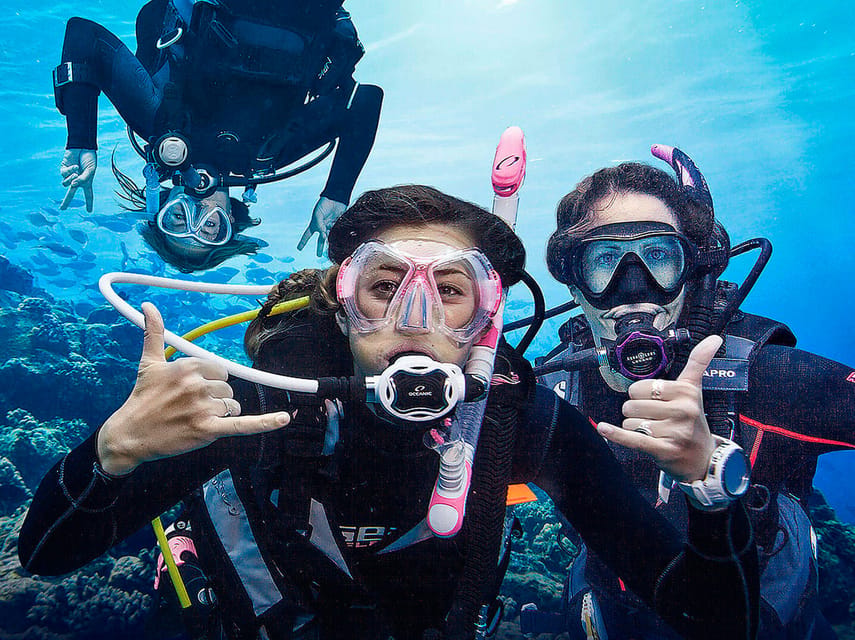 Madeira, Ponta São Lourenço: Scuba Diving for Beginners - What You Need to Bring (And What You Can Skip)