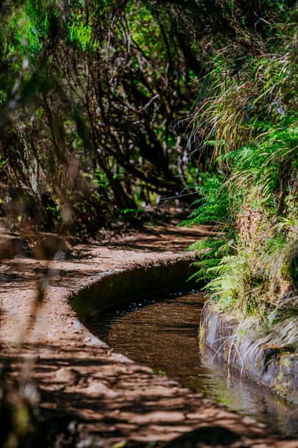 Madeira: PR 18 - Levada do Rei Hike Transfer with Host - Laurissilva forest tunnels and Ribeiro Bonito’s payoff