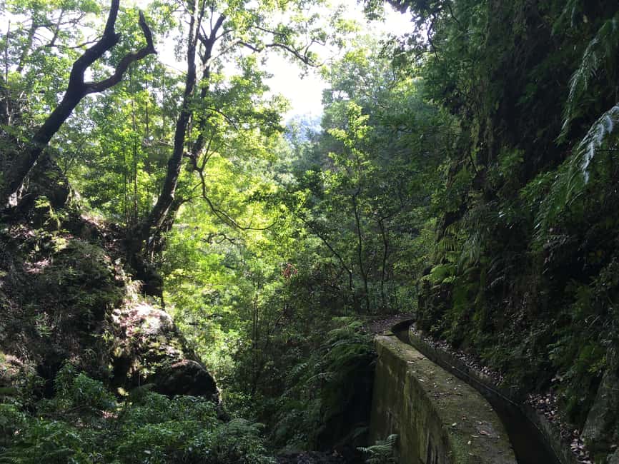 Madeira: PR 9 - Levada do Caldeirão Verde Hike Transfer - What to bring so the day stays comfortable (not just possible)