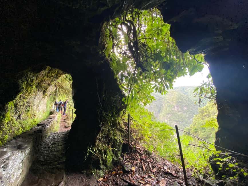 Madeira: PR 9 - Levada do Caldeirão Verde Hike Transfer - Price and value: what you’re paying for besides the trail