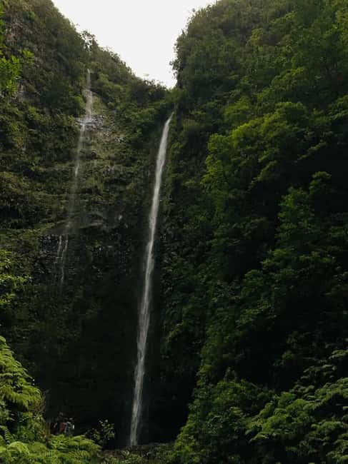 Madeira: PR 9 - Levada do Caldeirão Verde Hike Transfer - Who this hike suits best, and who should rethink it