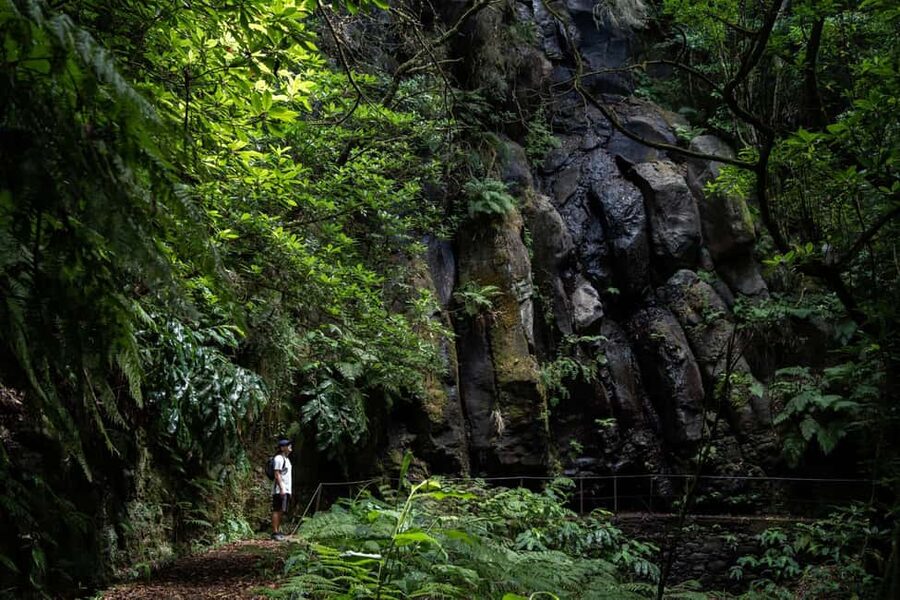 Madeira: PR 9 - Levada do Caldeirão Verde Hike Transfer - The ride to Pico das Pedras: where the day begins (and why it matters)
