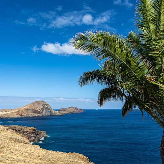 Madeira: PR8 -Ponta de São Lourenço Natural Reserve Transfer - Transfer time that keeps the day fun, not rushed