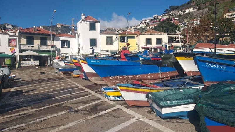 Madeira Private 4-Seater Mercedes VIP - Price Value for Small Groups, Families, and Wheelchair Travelers