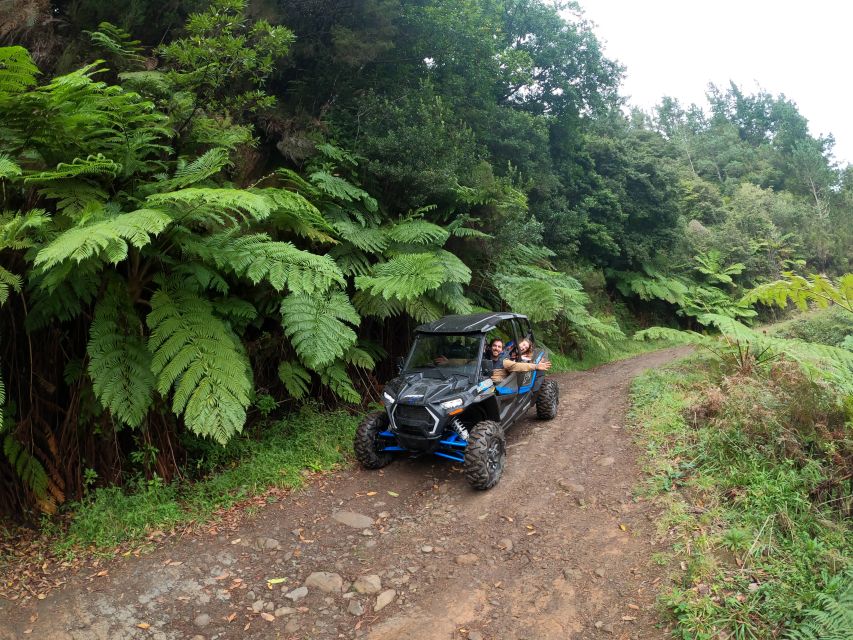 Madeira Private Buggy Adventure: Mountains and Forests - Who this Madeira buggy adventure fits best