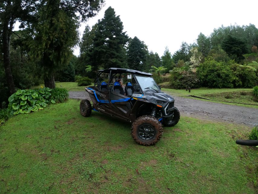 Madeira Private Buggy Adventure: Mountains and Forests - Polaris RZR XP4 in Madeira: what makes this adventure work