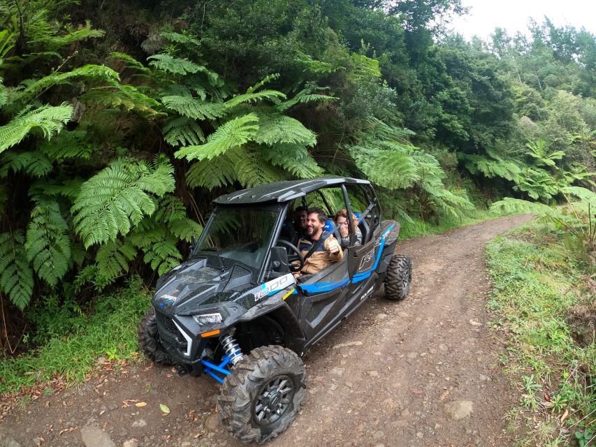 Madeira Private Buggy Adventure: Mountains and Forests - On-road to off-road: where the thrill actually shows up