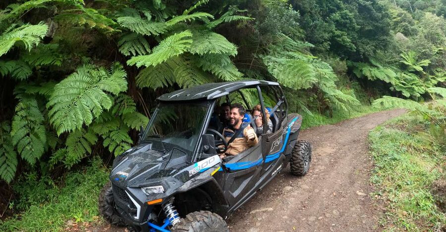 Madeira Private Buggy Adventure: Mountains and Forests - Laurissilva Forest on Serra das Funduras: the calm counterweight