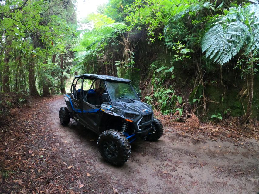 Madeira Private Buggy Adventure: Mountains and Forests - Photo stops and GoPro media: how you keep the memories