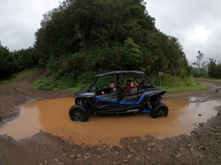 Madeira Private Buggy Adventure: Mountains and Forests - Price and value: why $212 per group can make sense