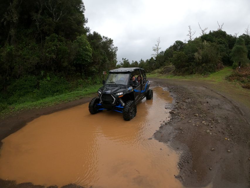 Madeira Private Buggy Adventure: Mountains and Forests - The 3.5 hour flow from Funchal to Santo da Serra