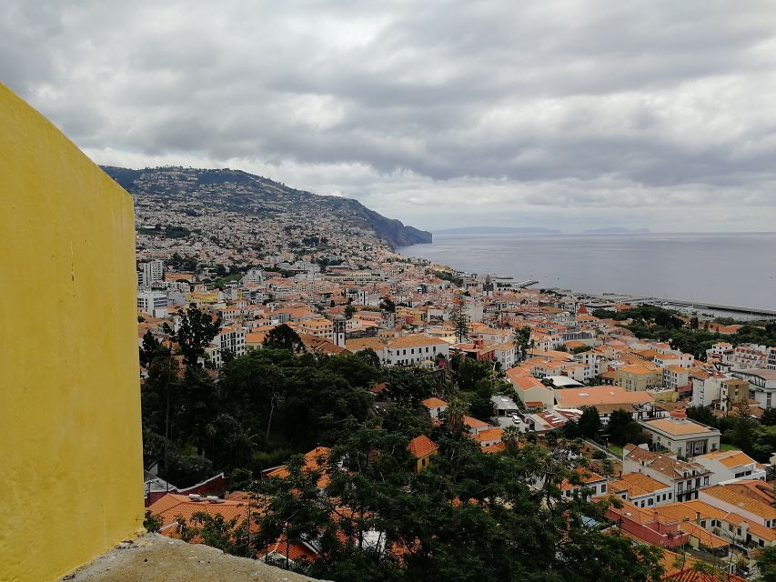 Madeira: Private Funchal City Tour in a Tukxi - The Price, the Time, and the Value You’re Really Paying For