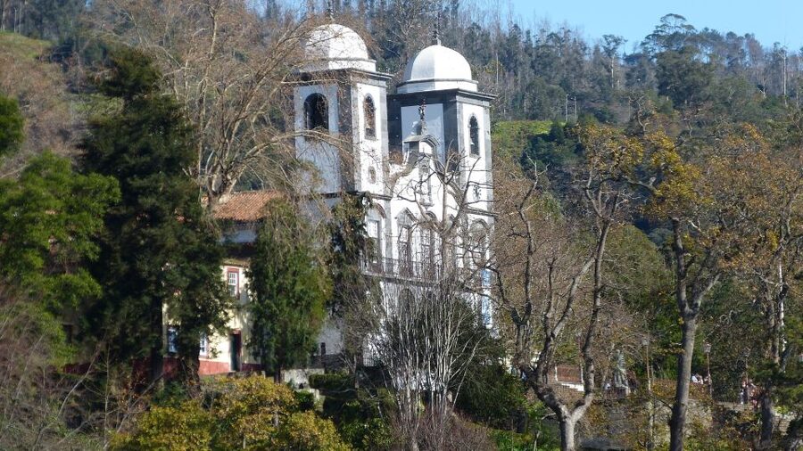 Madeira: Private Monte tour on a Tukxi - Price and Logistics: What You Get for About $58