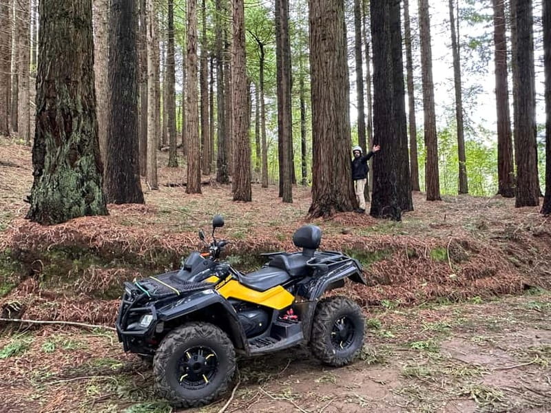 Madeira:Private Mountain Quad Adventure–Explore Wild Madeira - Small group energy, with names you can remember