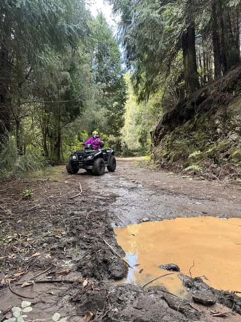 Madeira:Private Mountain Quad Adventure–Explore Wild Madeira - Where the adventure starts: Quinta Levada do Rei