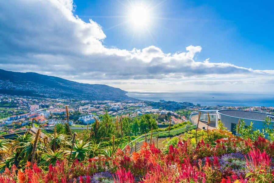 Madeira: Private Tour for Cruise Ship Passengers - Food and local drinks: when the driver picks the stops
