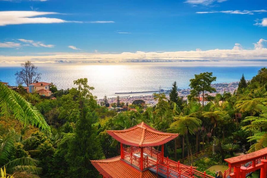 Madeira: Private Tour for Cruise Ship Passengers - Price and value: when $235 per group is a smart move