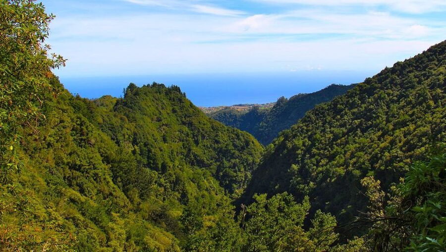 Madeira: Queimadas, Caldeirão Verde and Levada Walk - Key things you should know before you go