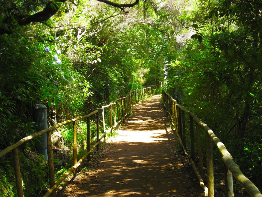 Madeira: Queimadas, Caldeirão Verde and Levada Walk - Pickup, meeting points, and the small details that save time