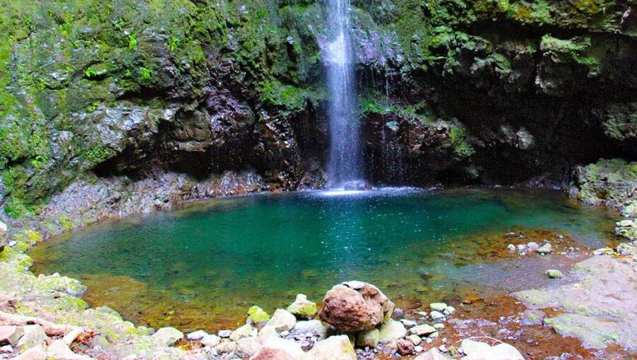 Madeira: Queimadas, Caldeirão Verde and Levada Walk - Starting at Queimadas Guest House and finding your rhythm