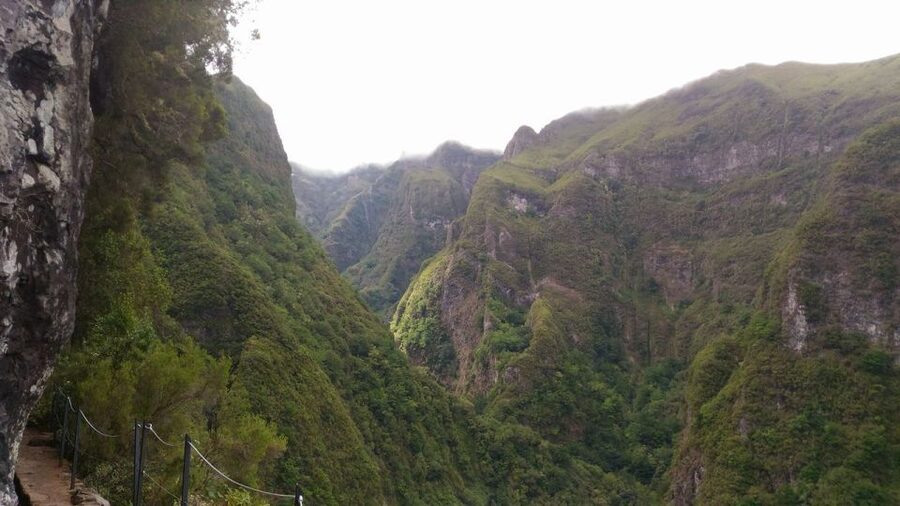 Madeira: Queimadas, Caldeirão Verde and Levada Walk - Guides who actually explain Madeira, not just point out views
