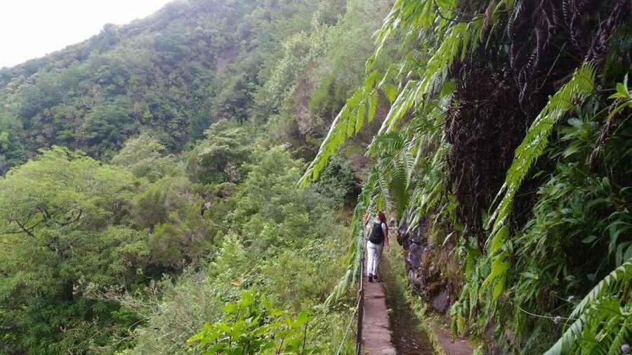 Madeira: Queimadas, Caldeirão Verde and Levada Walk - Village views in eastern Madeira: the best kind of souvenir