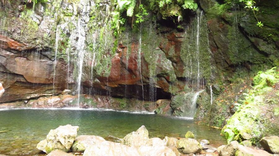 Madeira: Rabaçal, Risco and 25 Fontes Guided Hiking Tour - Getting to Rabaçal: the bus rhythm and why it matters