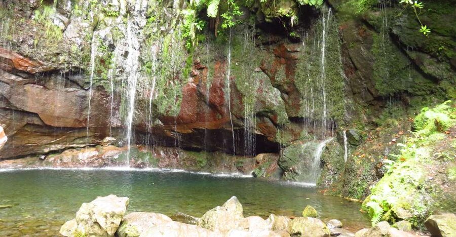 Madeira: Rabaçal, Risco and 25 Fontes Guided Hiking Tour - Switching to Levada Nova do Rabaçal: where the forest stories start
