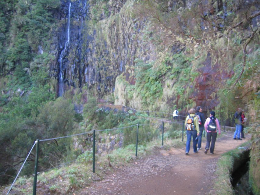 Madeira: Rabaçal, Risco and 25 Fontes Guided Hiking Tour - Timing and comfort: breaks, what you carry, and how long it really feels