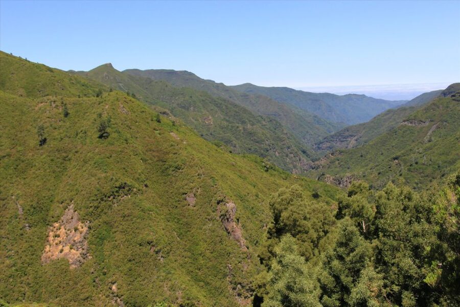 Madeira: Rabaçal, Risco and 25 Fontes Guided Hiking Tour - Who should book this Madeira hiking tour, and who should skip it
