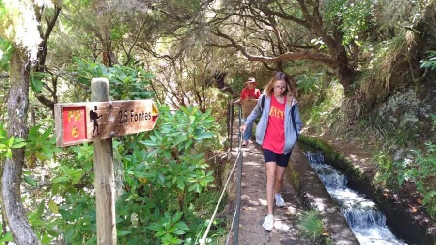 Madeira: Rabaçal, Risco and 25 Fontes Guided Hiking Tour - Levada do Risco: the waterfall walk that sets the tone