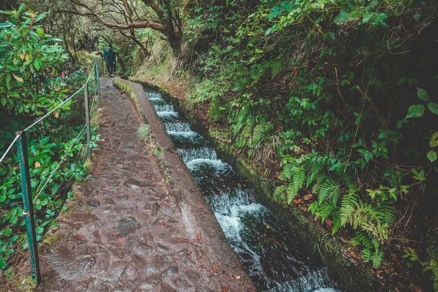 Madeira: Rabaçal Valley and the 25 Fountains Hike - Key Things I’d Plan Around
