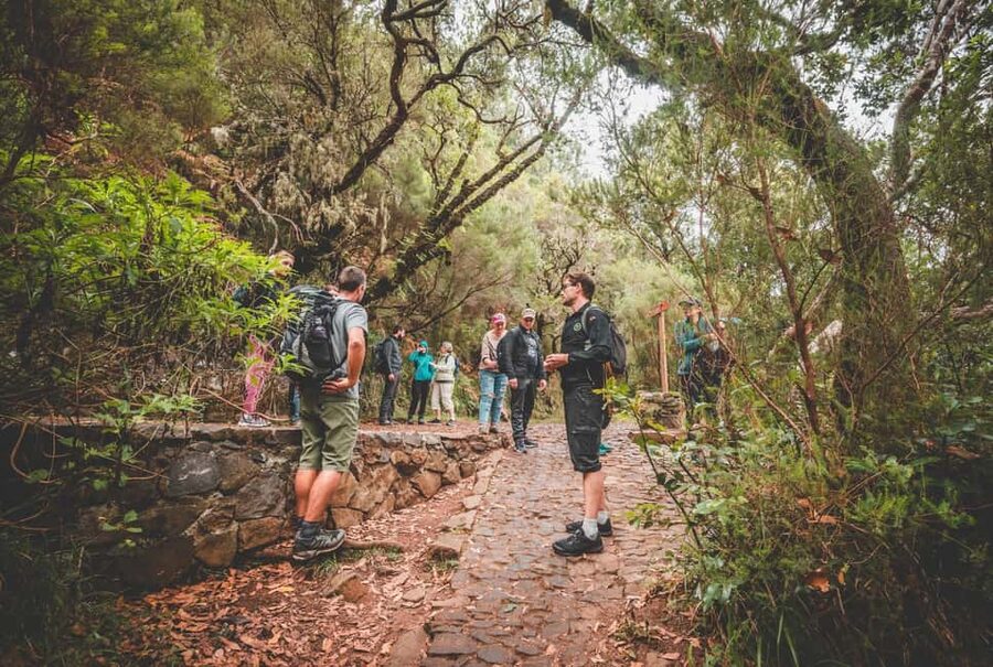 Madeira: Rabaçal Valley and the 25 Fountains Hike - Rabaçal Valley in Madeira: why this hike works so well