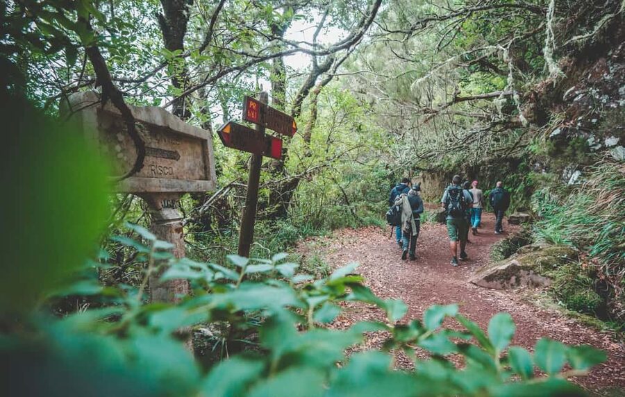 Madeira: Rabaçal Valley and the 25 Fountains Hike - The first forest segment: Laurisilva de Madeira as your warm-up