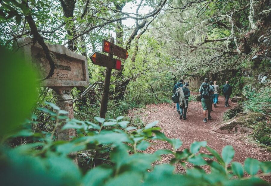 Madeira: Rabaçal Valley and the 25 Fountains Hike - Lagoa das 25 Fontes: the famous lagoon, the practical reality of crowds
