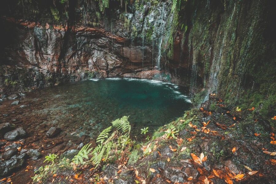 Madeira: Rabaçal Valley and the 25 Fountains Hike - Timing that feels realistic: what 7 hours really means