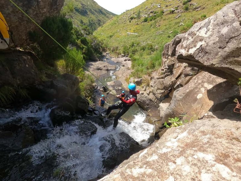 Madeira : Ribeira das Cales Canyoning (Level 1) - Price and value: what you are paying for at around $76