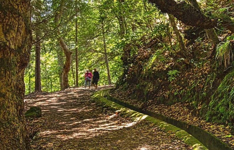 Madeira: Santana Jeep Safari and Referta Levada Walk - Santana: triangular thatched-roof houses and time to reset