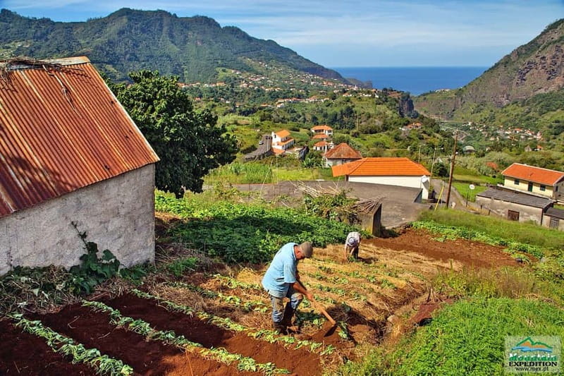 Madeira: Santana Jeep Safari and Referta Levada Walk - What to bring, and what to expect on a full 8 hours
