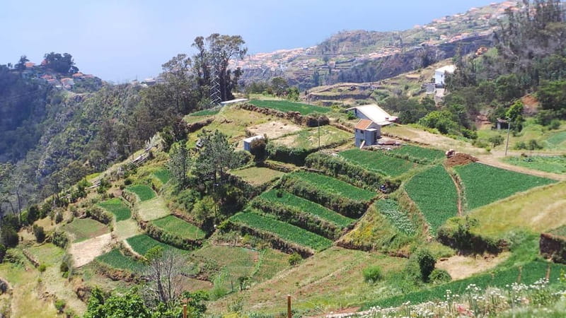 Madeira: Santana Jeep Safari and Referta Levada Walk - Price and value: why $72 works for a Jeep plus levada day