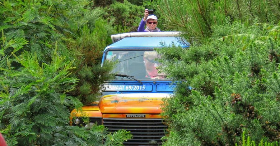 Madeira : Santo de Serra Local Farmers' Market half day trip - Key highlights you should care about