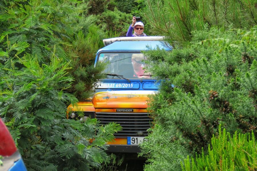 Madeira : Santo de Serra Local Farmers' Market half day trip - Price and value for a $49 half-day