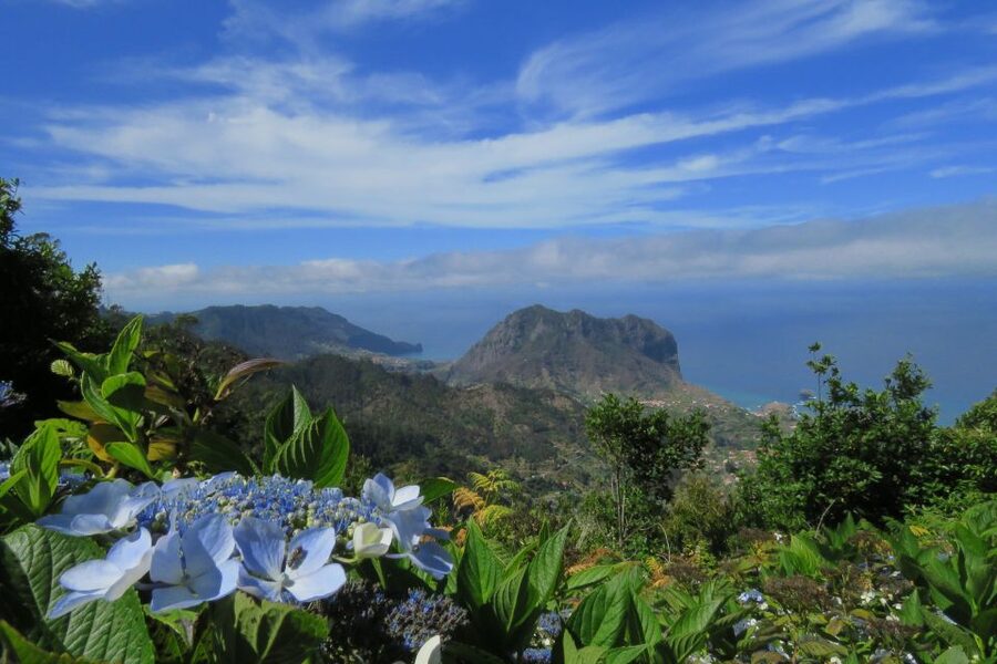 Madeira : Santo de Serra Local Farmers' Market half day trip - Should you book the Madeira Santo da Serra Local Farmers’ Market half day trip?