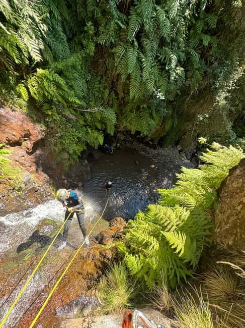 Madeira Short Canyoning For Beginners Rochão Level 1 - Key things to know before you go