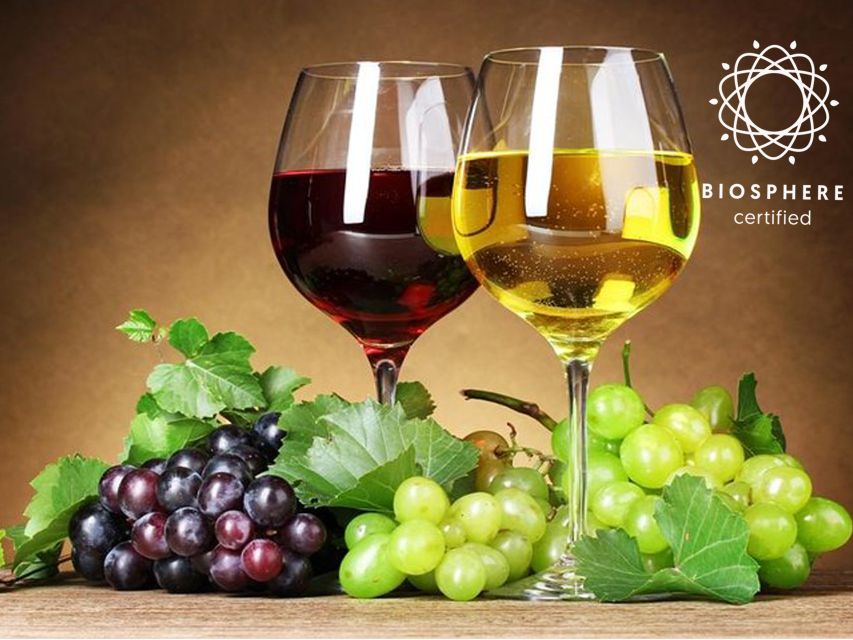 Madeira: Signature Wine Tasting, Skywalk & Nature Expedition - Price and Value, Is $104 Worth It?