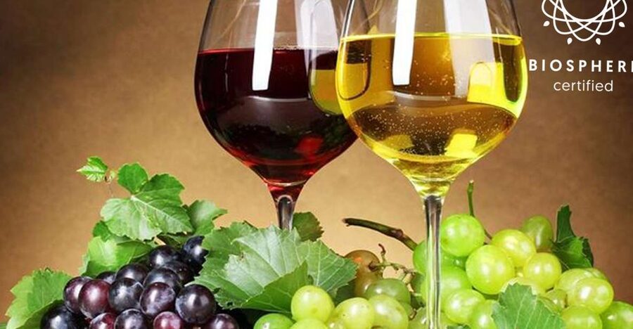 Madeira: Signature Wine Tasting, Skywalk & Nature Expedition - Serra d’Água and the Viewpoints That Make the North Make Sense
