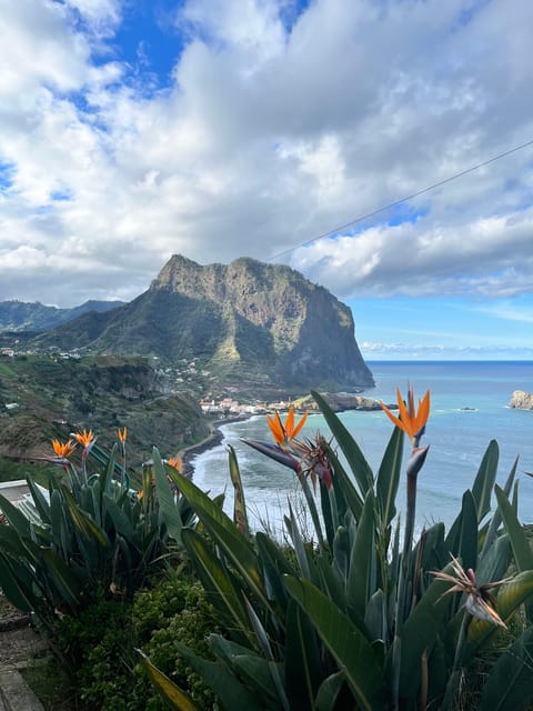 Madeira Stairway to Heaven to Larano Hike Mountain to Sea - Key things to know before you go